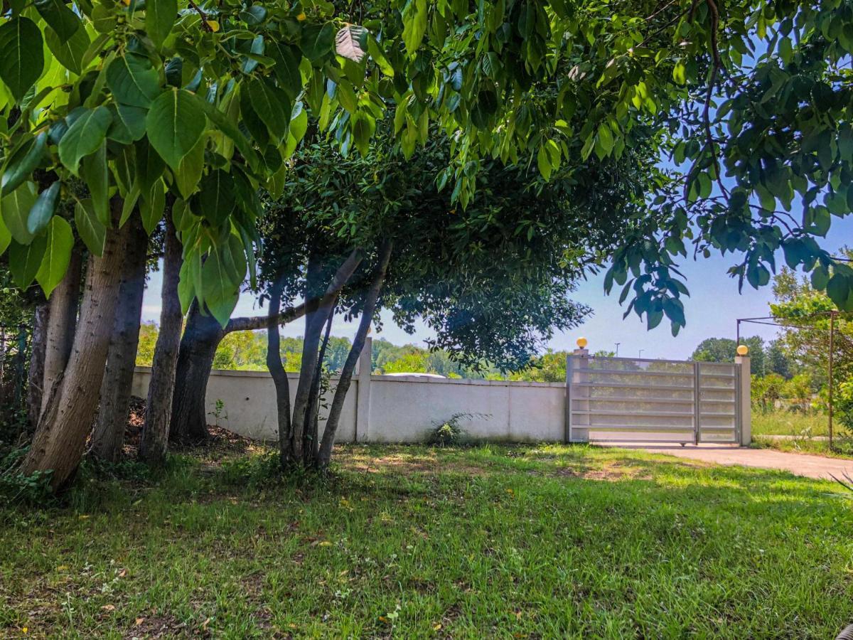Apartment Renata